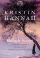 Odległe brzegi Kristin Hannah