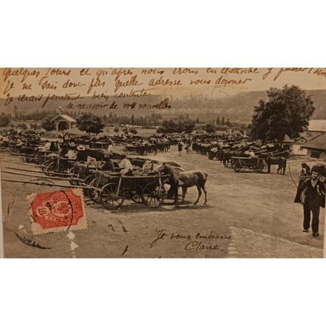Pocztówka Mohylew. Targ koni ok. 1909 r.