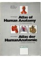Atlas of Human Anatomy Hans Frick Benno Kummer