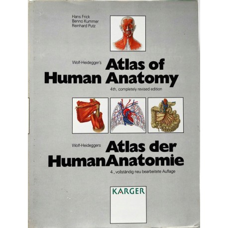 Atlas of Human Anatomy Hans Frick Benno Kummer