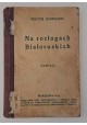 Na rozłogach Białoruskich Powieść 1912 r. Wiktor Gomulicki