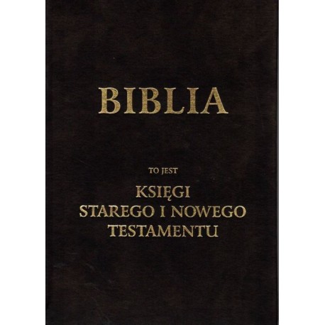 Biblia to jest Księgi Starego i Nowego Testamentu