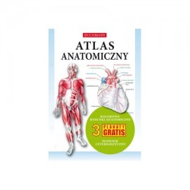 Atlas anatomiczny 3 plakaty praca zbiorowa