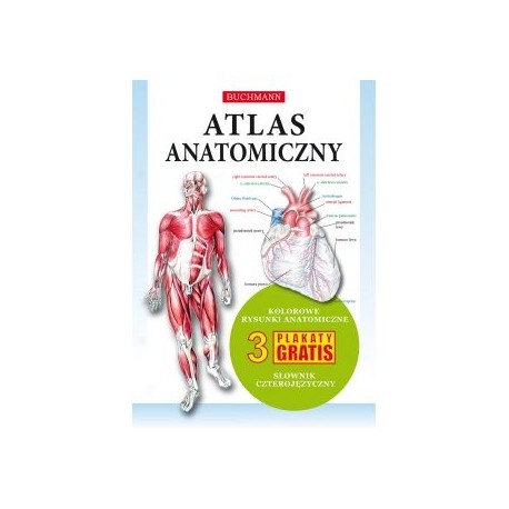 Atlas anatomiczny 3 plakaty praca zbiorowa