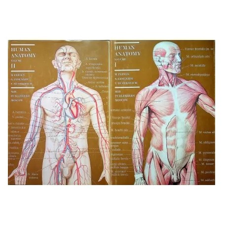 Human Anatomy 2 tomy kpl Prives Lysenkov