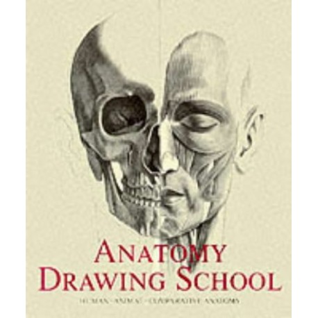 Anatomy Drawing School Human. Animal. Comparative Anatomy Gyorgy Feher, Andras Szunyoghy