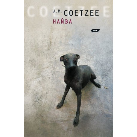 Hańba J.M. Coetzee