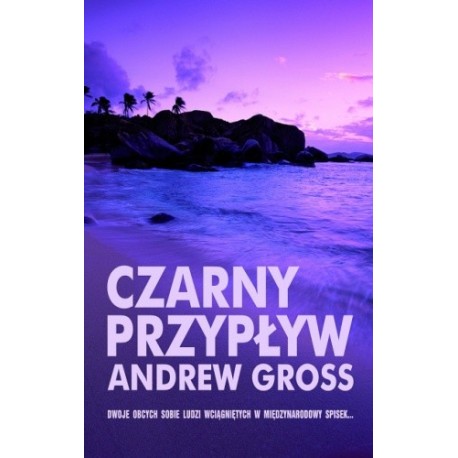 Czarny przypływ Andrew Gross