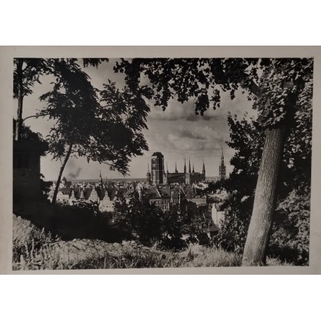 Fotografia zdjęcie Gdańsk przedwojenny widok z Biskupiej Górki [1920]