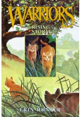Rising Storm Warriors Book 4 Erin Hunter