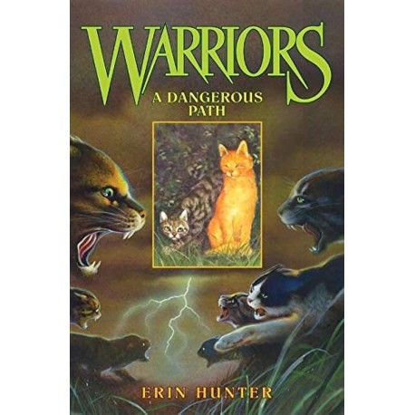 A Dangerous Path Warriors Book 5 Erin Hunter