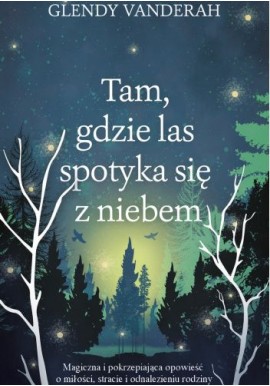 Tam, gdzie las spotyka się z niebem Glendy Vanderah