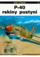 P-40 rekiny pustyni Tomasz Szlagor