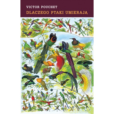 Dlaczego ptaki umierają Victor Pouchet