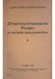 Zmartwychwstanie Polski w świetle dokumentów Kazimierz Jaworski i Kazimierz Błaszczyński 1928 r.