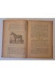 PRAWOCHEŃSKI R. - Pochodzenie, pokrój i rasy koni 1922