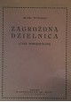 WYWIÓRSKI Michał - Zagrożona dzielnica (Cykl wielkopolski) 1913