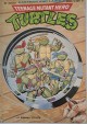 Teenage Mutant Hero Turtles 3(6)/92