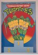 Teenage Mutant Hero Turtles 8(11)/92