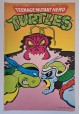 Teenage Mutant Hero Turtles 2(5)/92