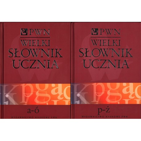 Wielki słownik ucznia Mirosław Bańko (red. nacz.) (kpl - 2 tomy)