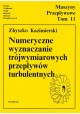 Numeryczne wyznaczanie trójwymiarowych przepływów turbulentnych Zbyszko Kazimierski