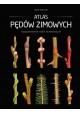 Atlas pędów zimowych Rozpoznawanie roślin drzewiastych Jacek Adamczyk