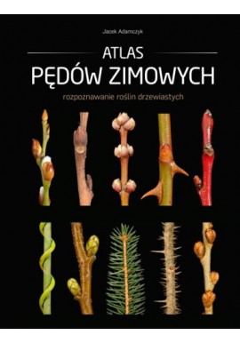 Atlas pędów zimowych Rozpoznawanie roślin drzewiastych Jacek Adamczyk