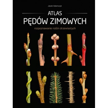 Atlas pędów zimowych Rozpoznawanie roślin drzewiastych Jacek Adamczyk