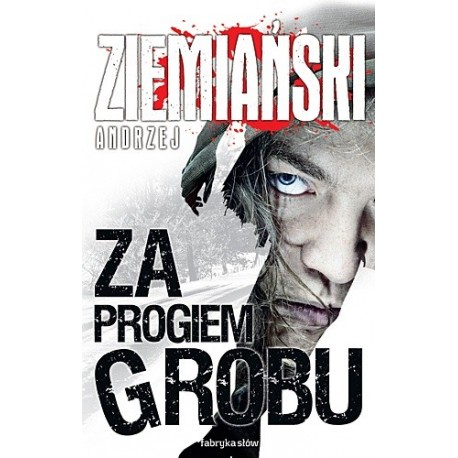 Za progiem grobu Andrzej Ziemiański