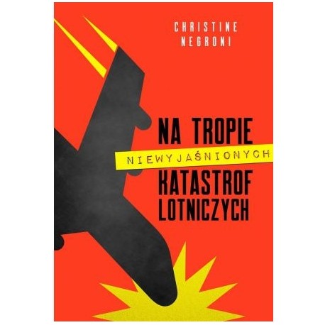 Na tropie niewyjaśnionych katastrof lotniczych Christine Negroni