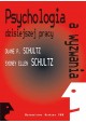 Psychologia i wyzwania dzisiejszej pracy Duane P. Schultz, Sydney Ellen Schultz