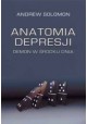 Andrew Solomon Anatomia depresji