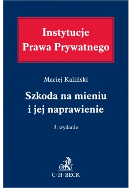 Szkoda na mieniu i jej naprawienie Maciej Kaliński