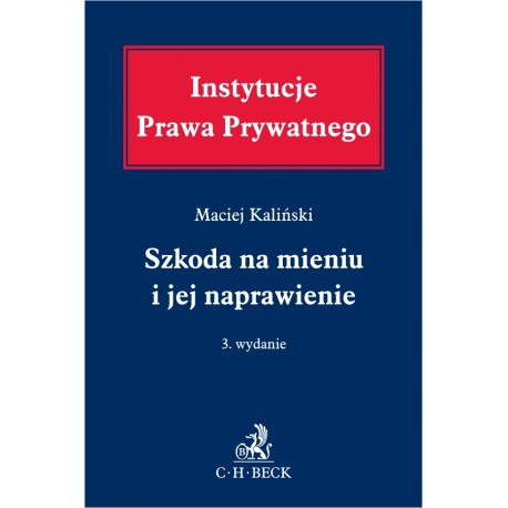 Szkoda na mieniu i jej naprawienie Maciej Kaliński