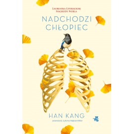 Nadchodzi chłopiec Han Kang