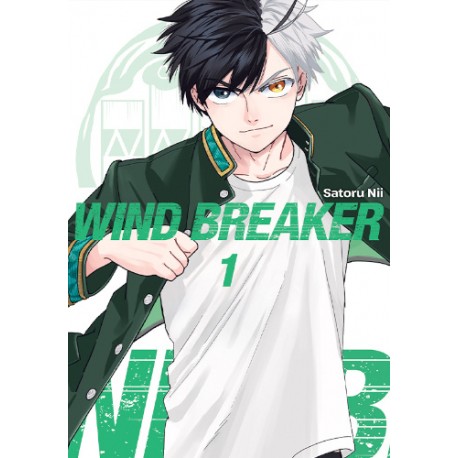 Wind Breaker 1 Satoru Nii