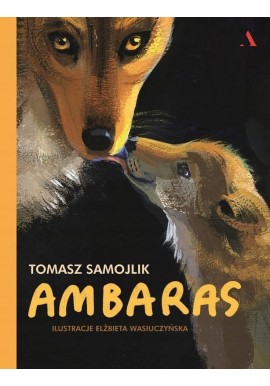 Ambaras Tomasz Samojlik