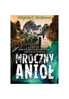 Virginia C. Andrews Mroczny anioł