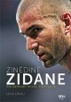 Luca Caioli Zinedine Zidane sto dziesięć minut, całe życie