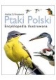 Kruszewicz Ptaki Polski Encyklopedia ilustrowana
