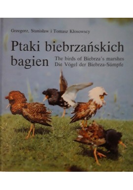 Ptaki biebrzańskich bagien The birds of Biebrza's marshes Die Vogel der Biebrza-Sumpfe Grzegorz, Stanisław i Tomasz Kłosowscy