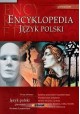 Encyklopedia szkolna Język polski gimnazjum Praca zbiorowa