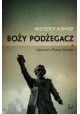 Boży podżegacz Opowieść o Piotrze Skardze Krzysztof Koehler