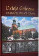 Dzieje Gniezna pierwszej stolicy Polski Józef Dobosz, Magdalena Biniaś-Szkopek i in.