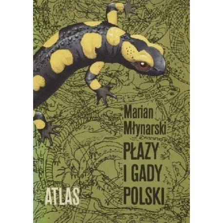 Płazy i gady Polski Atlas Marian Młynarski