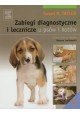 Zabiegi diagnostyczne i lecznicze u psów i kotów Susan M. Taylor + DVD