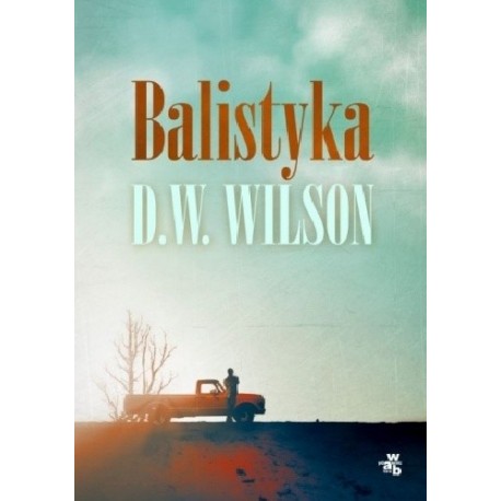 Balistyka D.W. Wilson