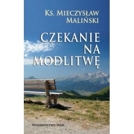 Czekanie na modlitwę Ks. Mieczysław Maliński