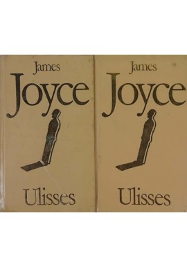 James Joyce 2 tomy kpl Ulisses przełożył Słomczyński